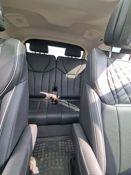 Hongqi E-HS9 24 of 30
