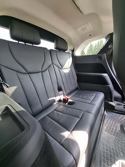 Hongqi E-HS9 23 of 30