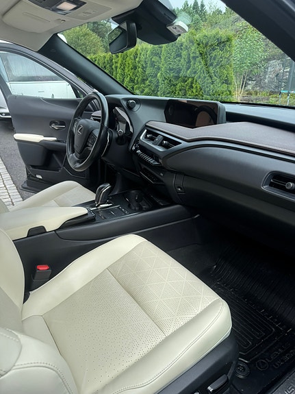 Lexus UX300e 19 of 29