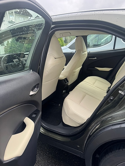 Lexus UX300e 16 of 29