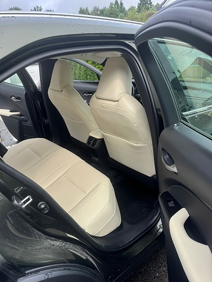 Lexus UX300e 20 of 29