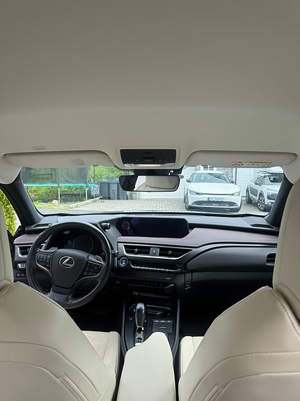 Lexus UX300e 21 of 29
