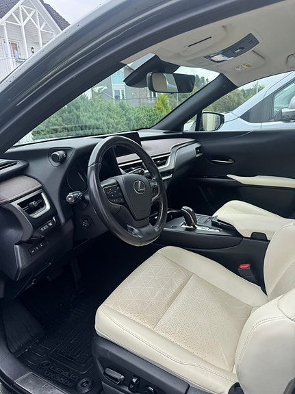 Lexus UX300e 14 of 29