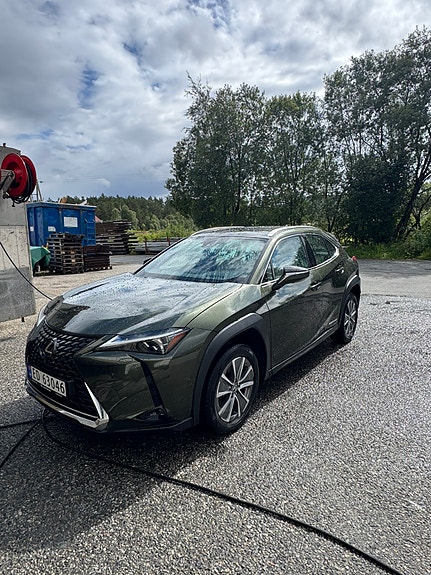 Lexus UX300e 3 of 29