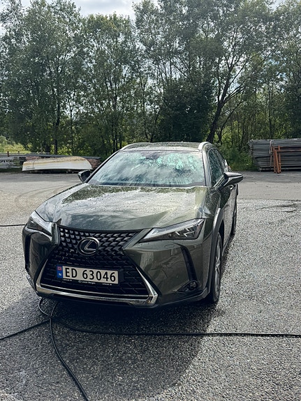 Lexus UX300e 2 of 29