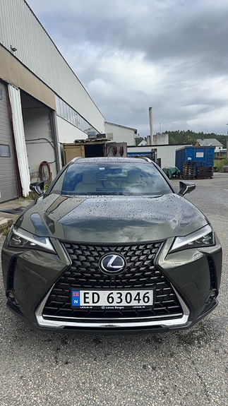 Lexus UX300e 12 of 29