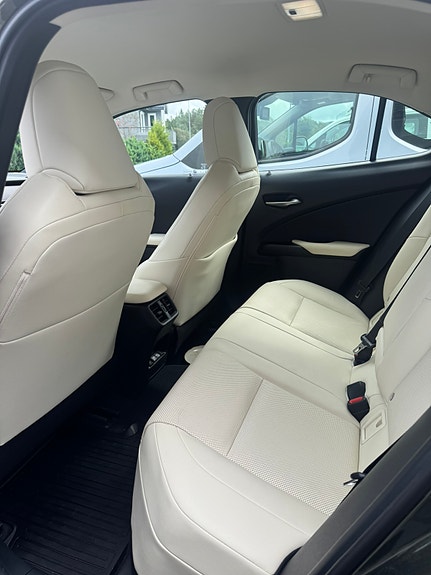 Lexus UX300e 15 of 29