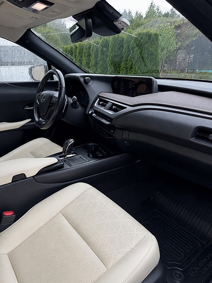 Lexus UX300e 13 of 29