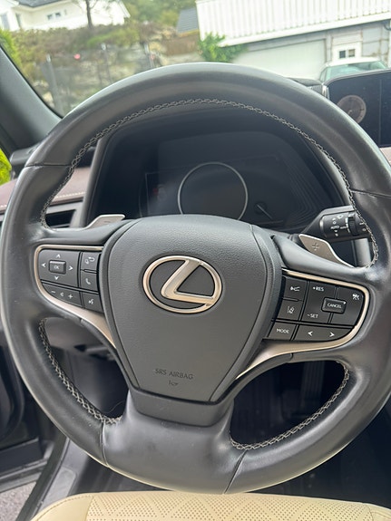 Lexus UX300e 22 of 29