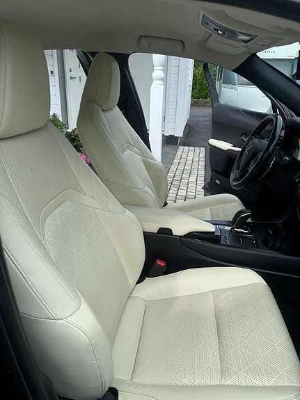 Lexus UX300e 18 of 29