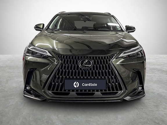 Lexus NX450h 10 of 30