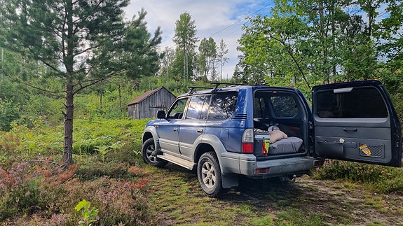 Toyota Land Cruiser 2 of 18
