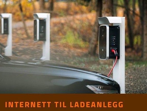 Bilde 2 av 5 i jobbannonse-galleriet