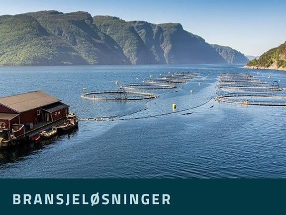 Bilde 3 av 5 i jobbannonse-galleriet