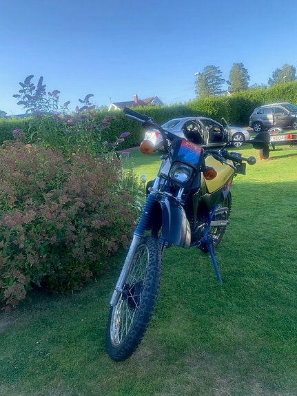 Suzuki TS 50 X 6 of 30