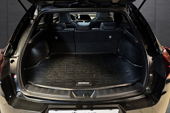 Lexus UX250h 20 of 20