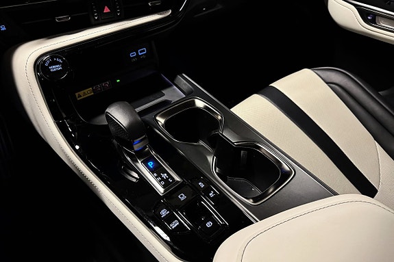 Lexus NX450h 18 of 24