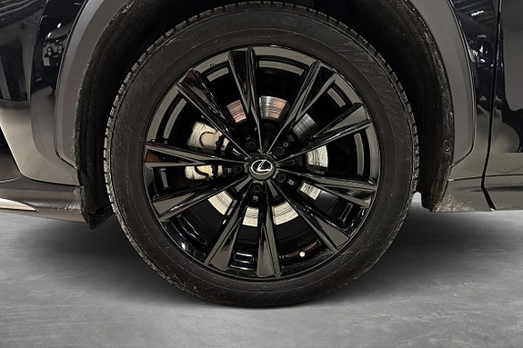 Lexus NX450h 22 of 24