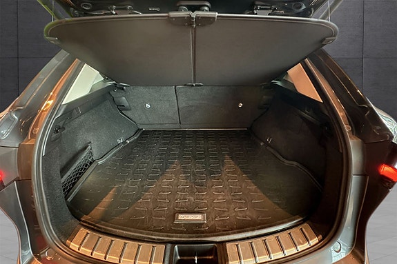 Lexus NX450h 30 of 30