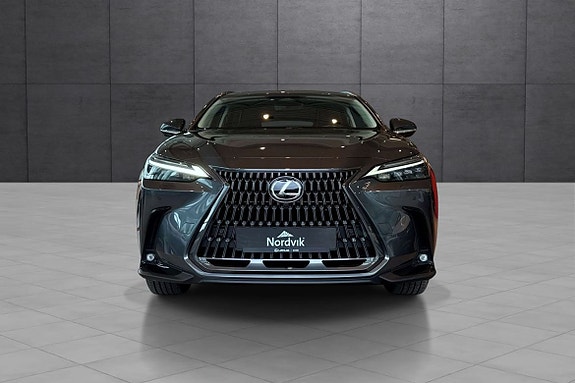 Lexus NX450h 10 of 30