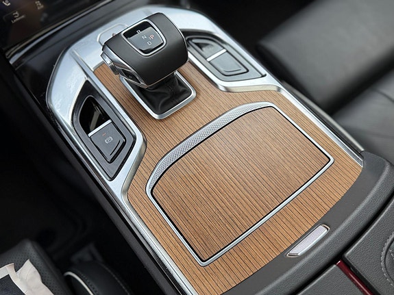Hongqi E-HS9 19 of 30