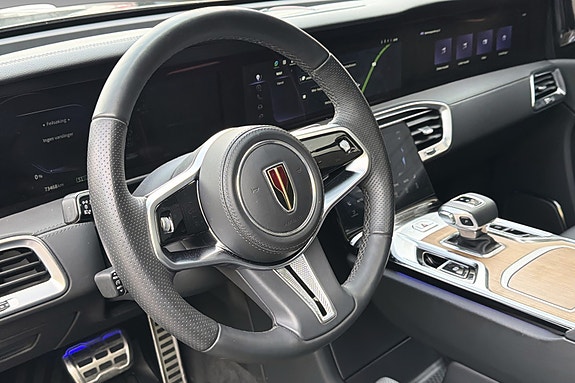 Hongqi E-HS9 18 of 30