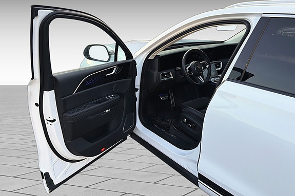 Hongqi E-HS9 15 of 30