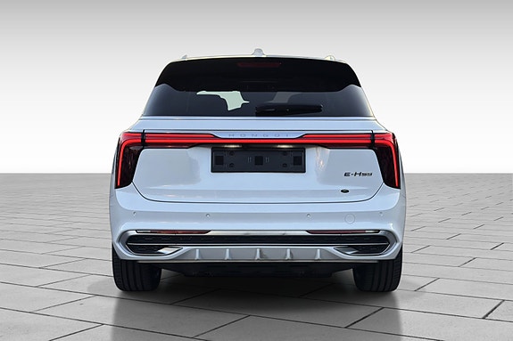 Hongqi E-HS9 10 of 30