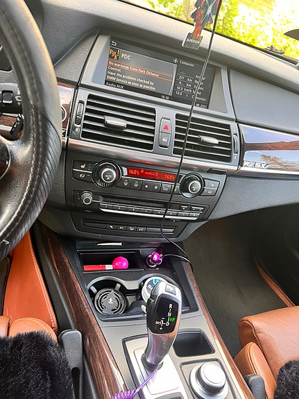 BMW X5 11 of 21