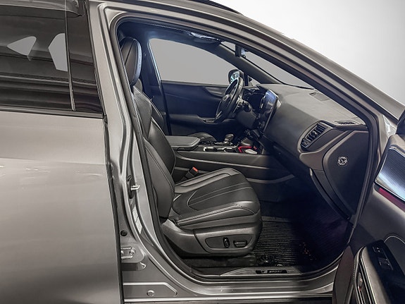 Lexus NX450h 19 of 30