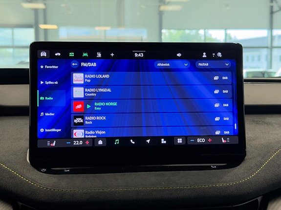 Skoda Enyaq RS 25 of 30