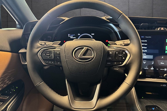 Lexus RZ450e 11 of 19