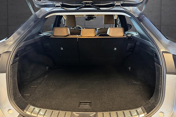 Lexus RZ450e 16 of 19