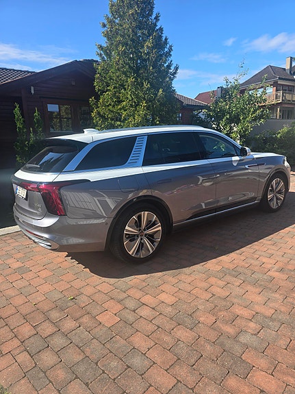 Hongqi E-HS9 14 of 19