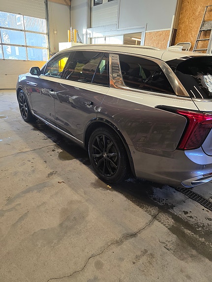 Hongqi E-HS9 6 of 19
