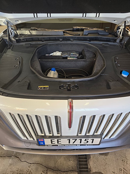 Hongqi E-HS9 13 of 19