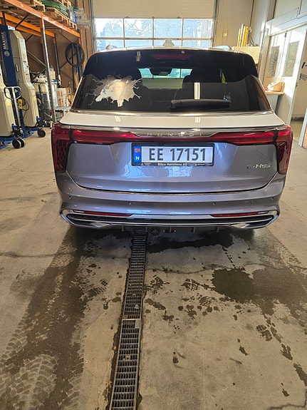 Hongqi E-HS9 7 of 19