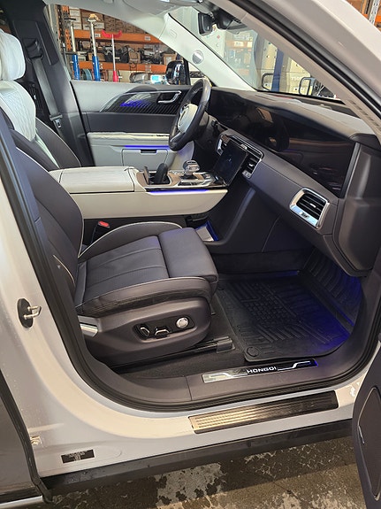 Hongqi E-HS9 9 of 19