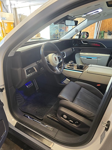 Hongqi E-HS9 10 of 19