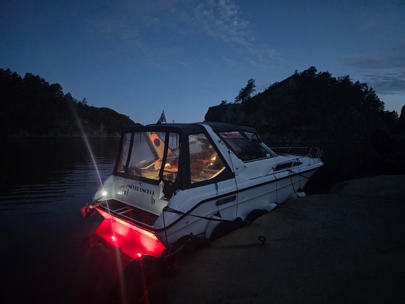 Sea ray 310 express cruiser 18 of 18