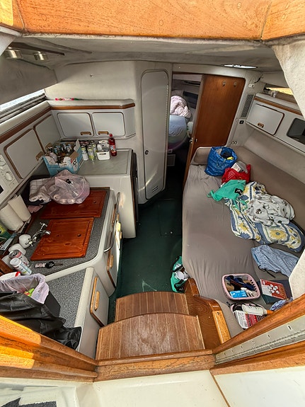 Sea ray 310 express cruiser 11 of 18