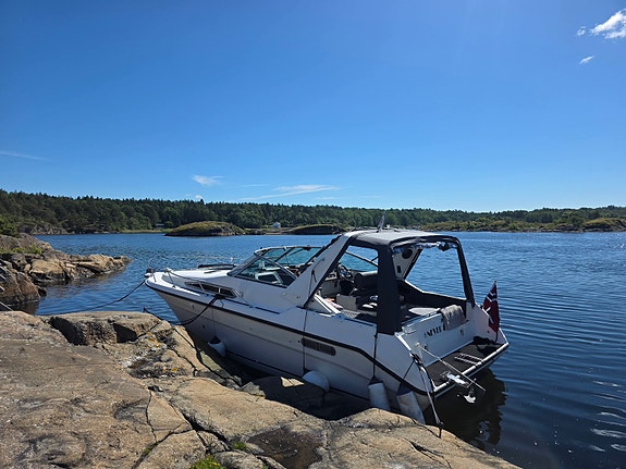 Sea ray 310 express cruiser 2 of 18