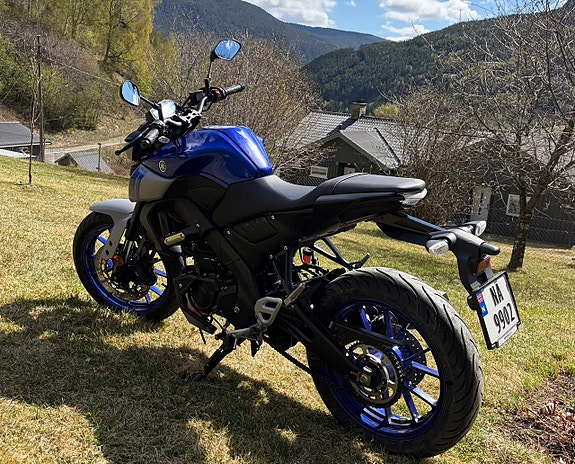 Yamaha MT-125 6 of 8