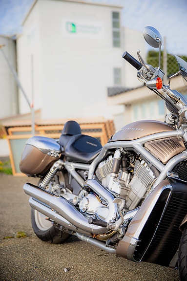 Harley-Davidson VRSCA V-Rod 9 of 18