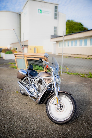 Harley-Davidson VRSCA V-Rod 8 of 18