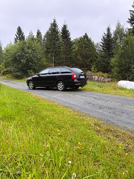 Skoda Octavia 4 of 16