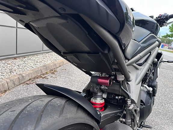 Triumph Speed Triple S + PEN + REMUS ++ 13 of 30