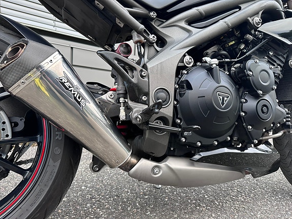 Triumph Speed Triple S + PEN + REMUS ++ 19 of 30