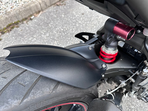 Triumph Speed Triple S + PEN + REMUS ++ 14 of 30