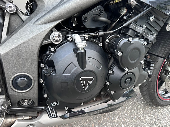 Triumph Speed Triple S + PEN + REMUS ++ 21 of 30